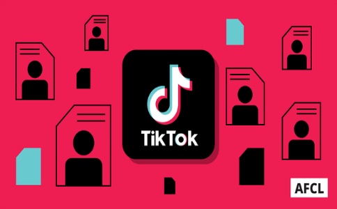 TikTok 视频